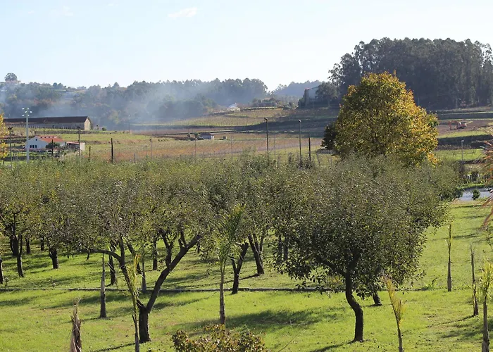 Quinta Solar Fontes Varzea (Barcelos)